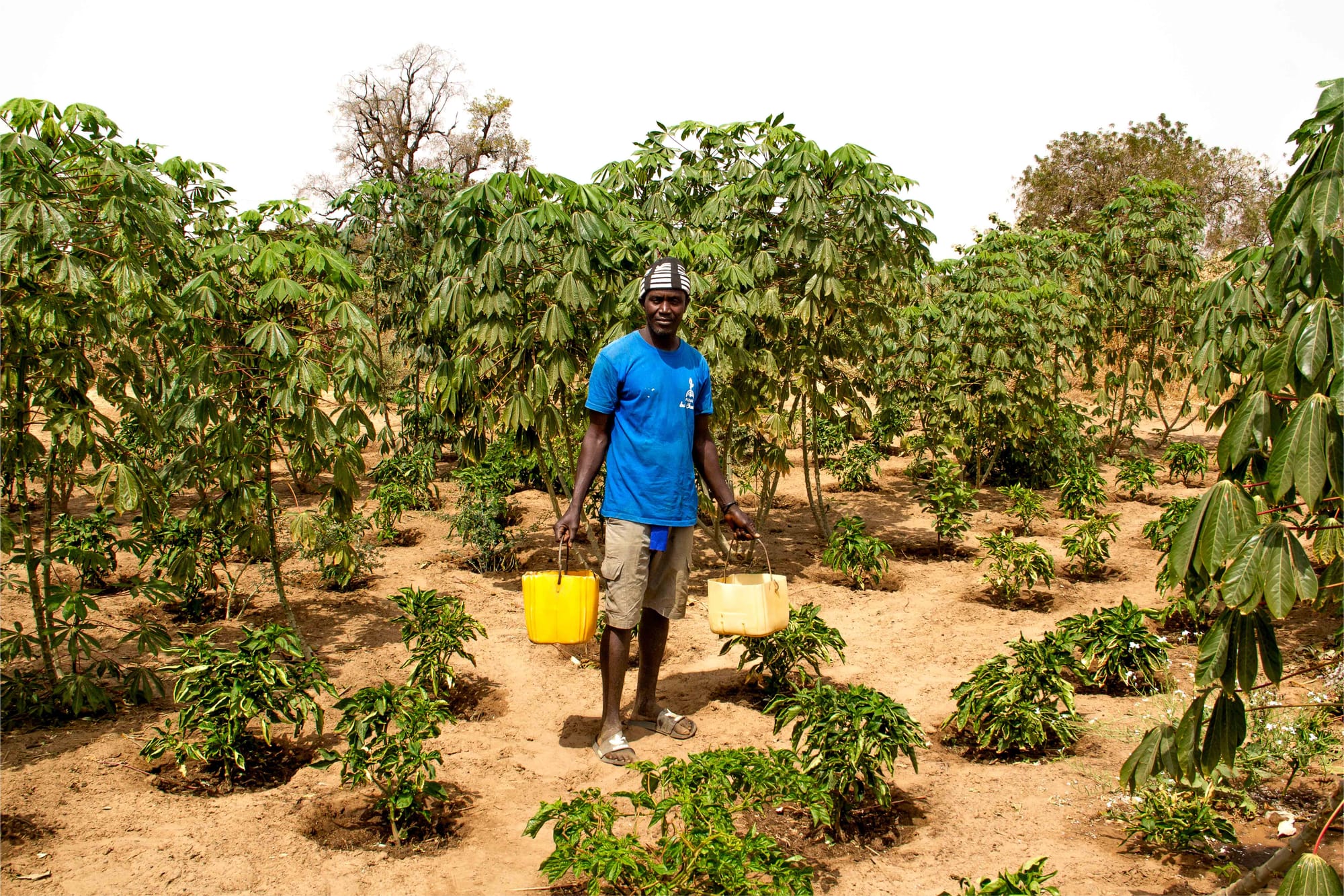 Assane (Diarrere, Sénégal)