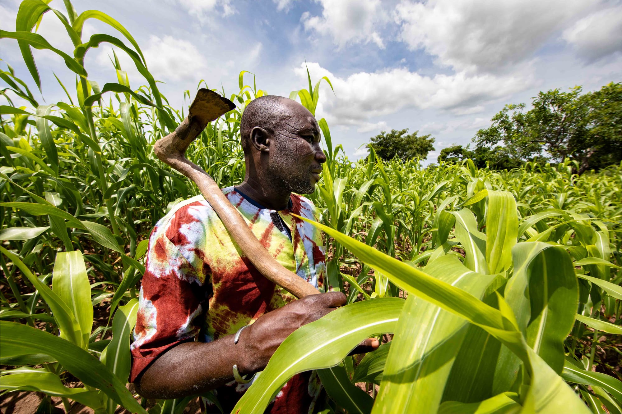 Farmers on the breaking point