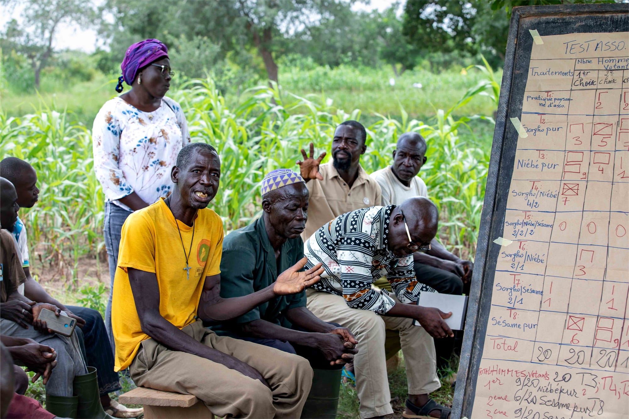 Co-evaluating innovations