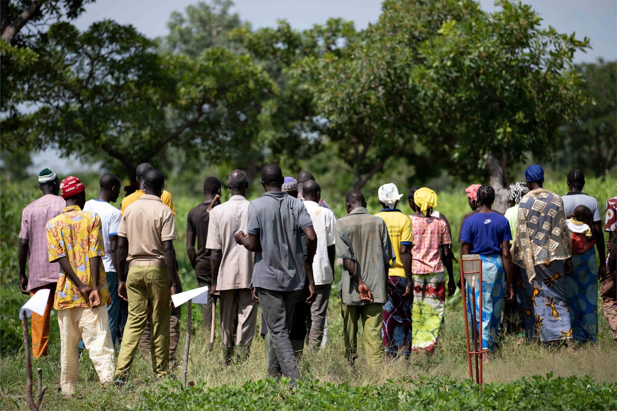 A farmer field school
