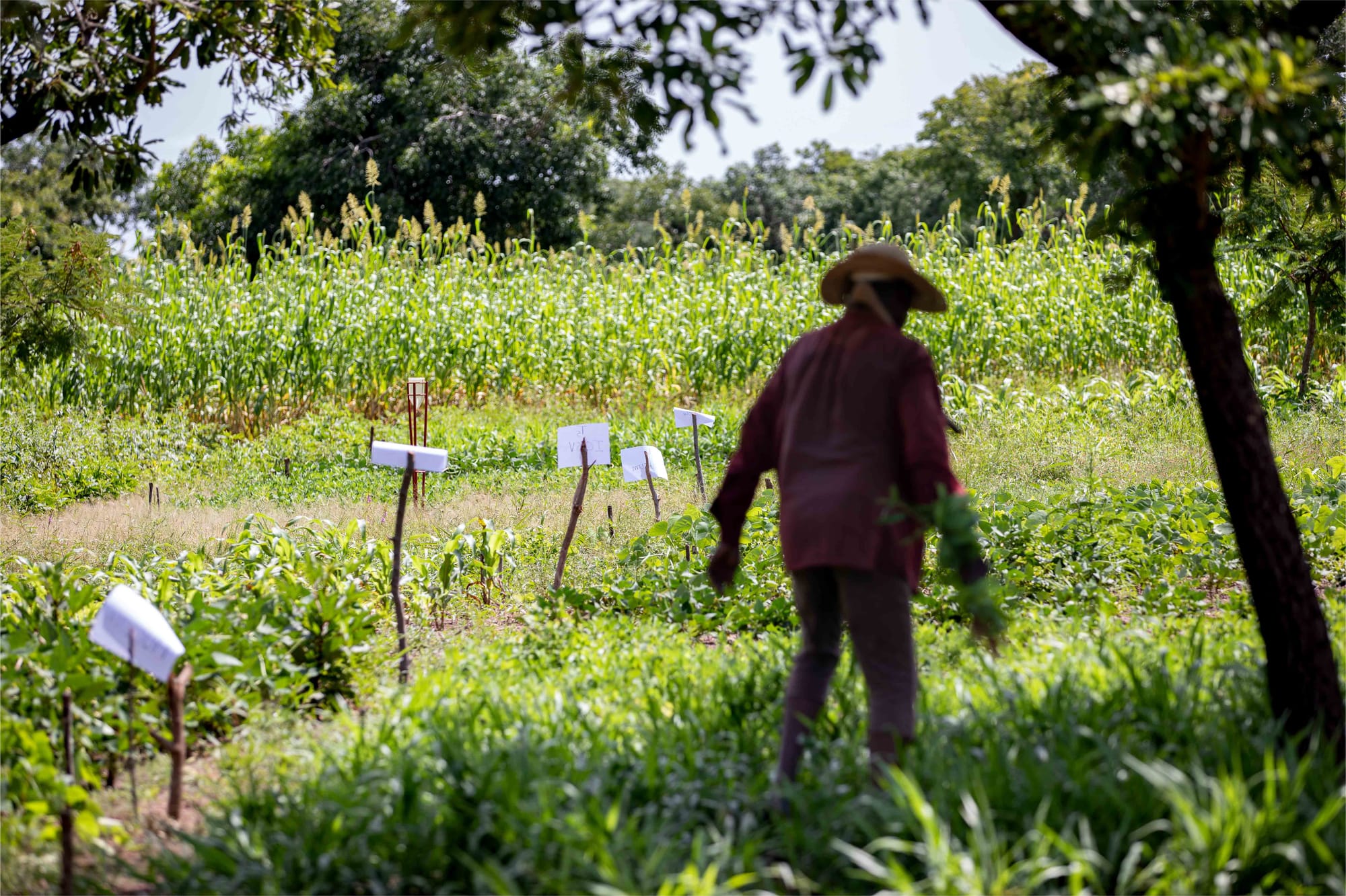 A bunch of innovations