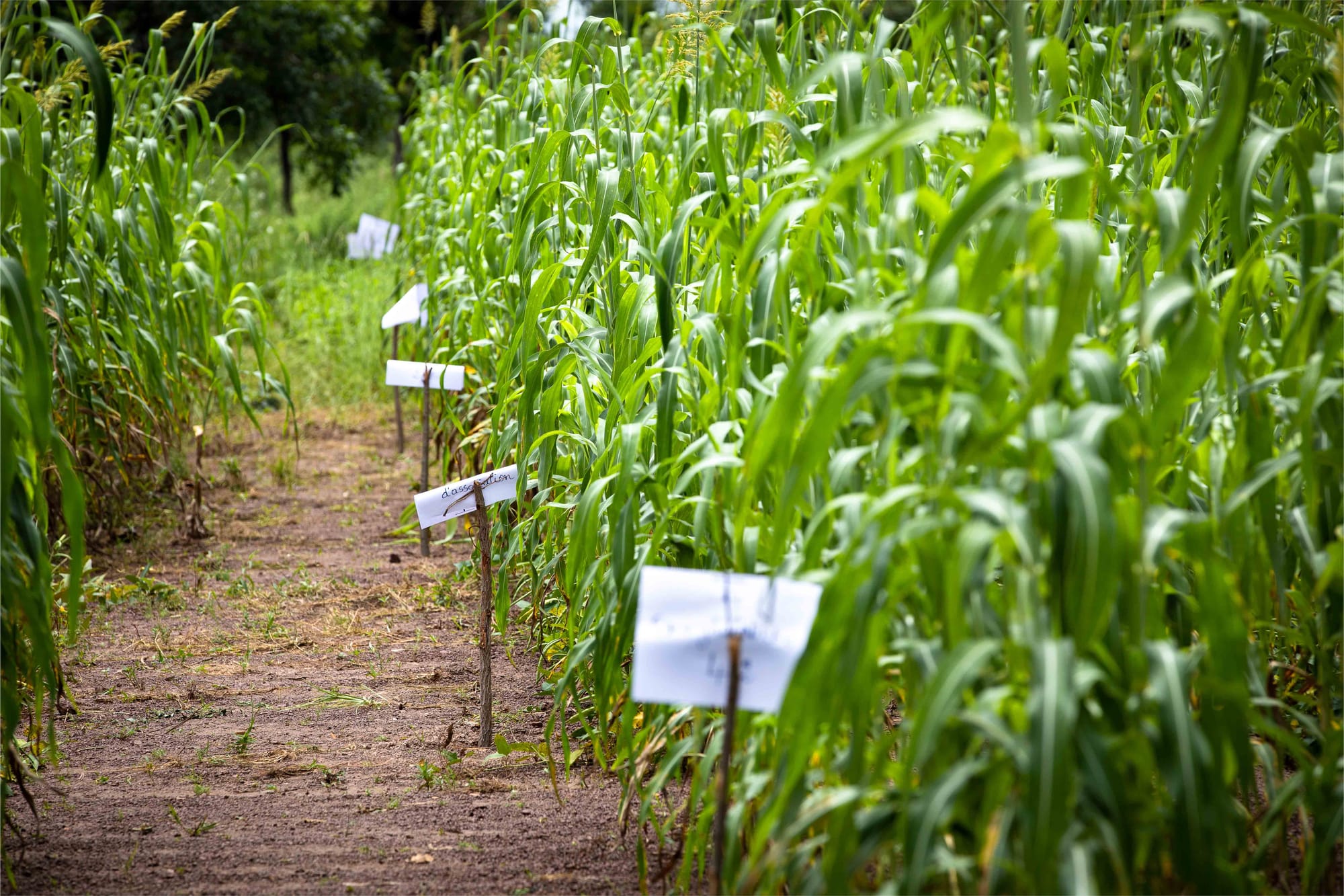 A bunch of innovations