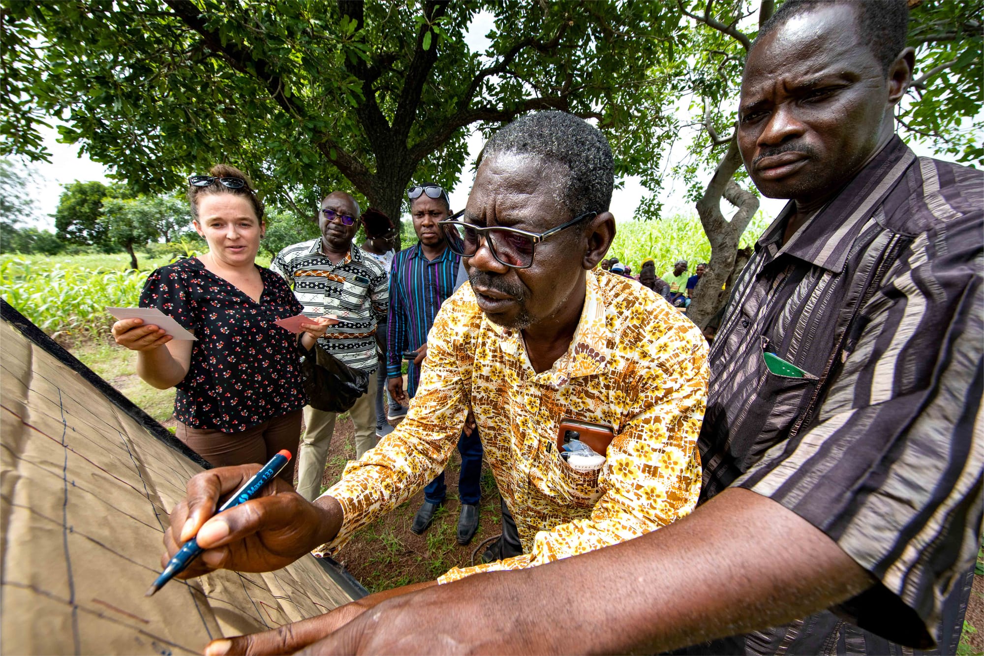 Co-evaluating innovations