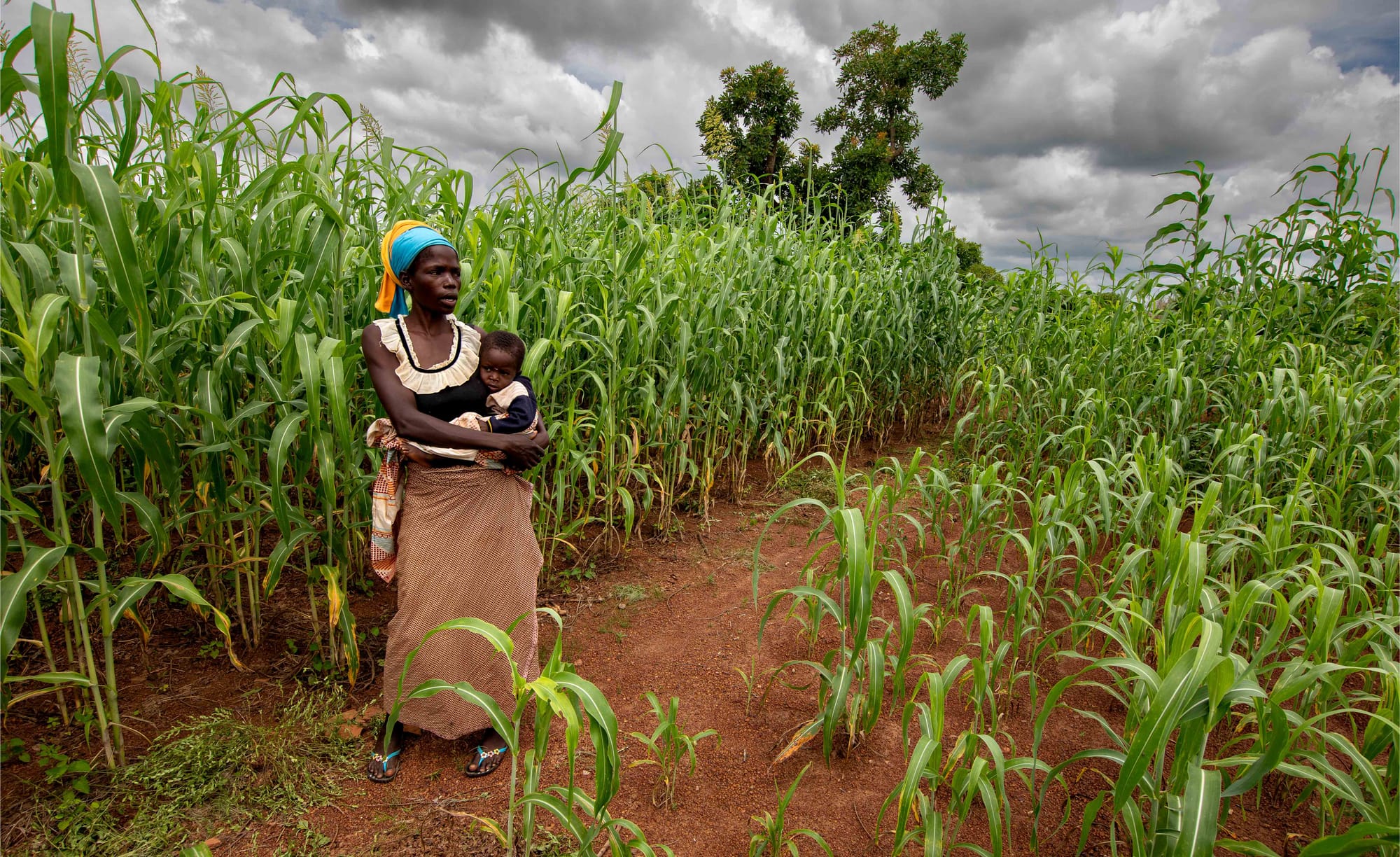 Joining forces to change agriculture