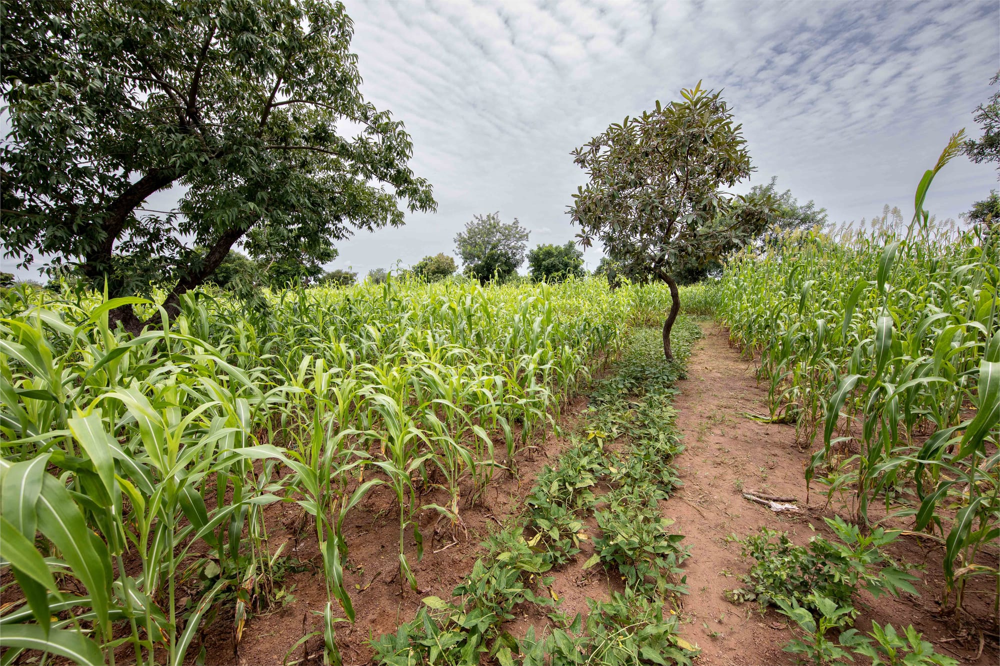 A bunch of innovations