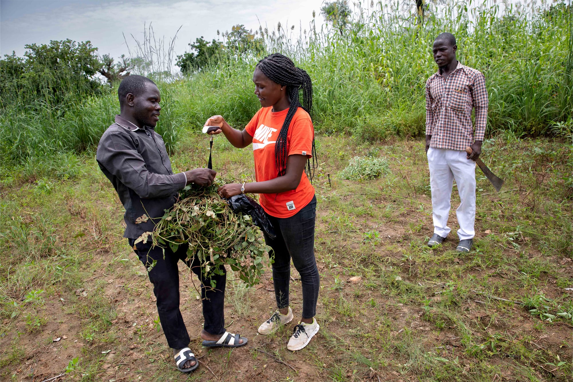 A bunch of innovations