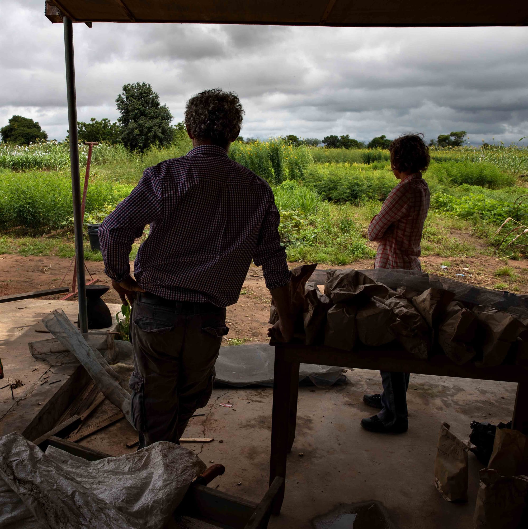 A backbone for innovation