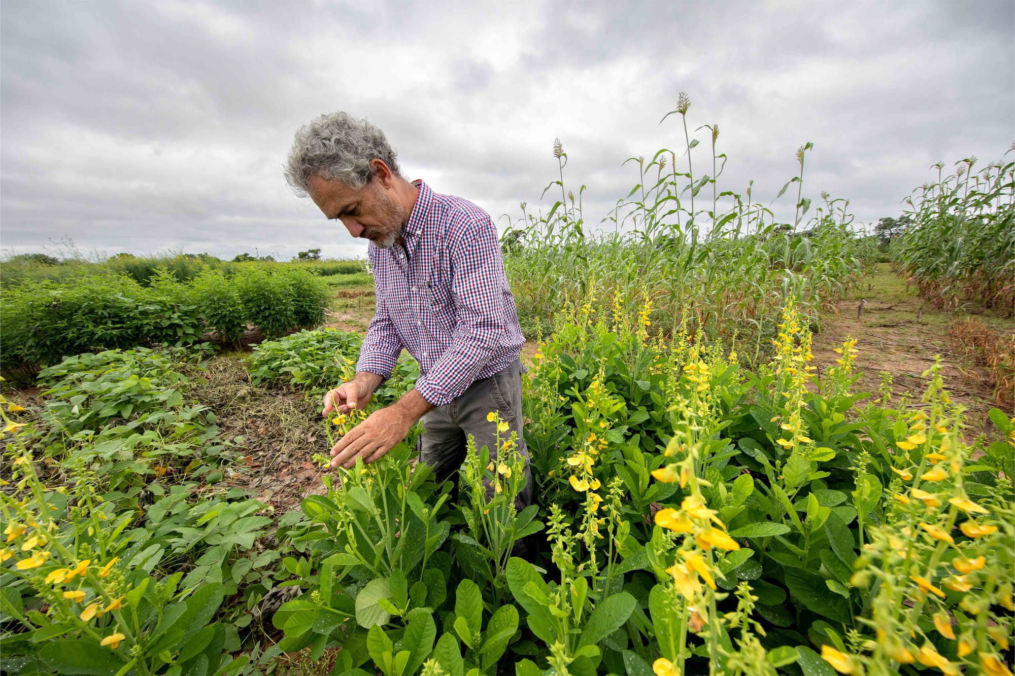 A backbone for innovation