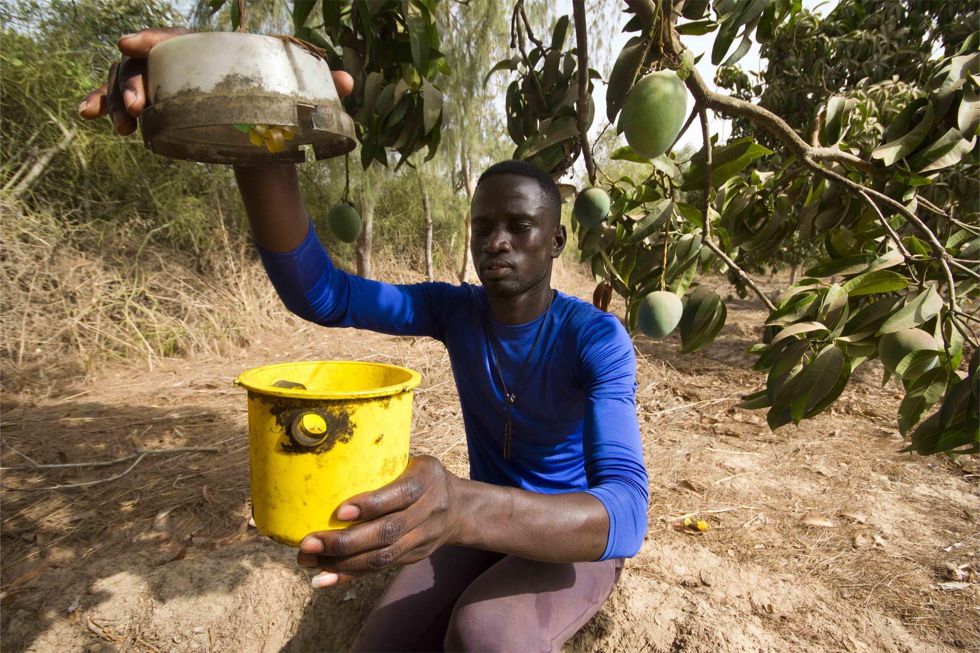 Research to reduce losses