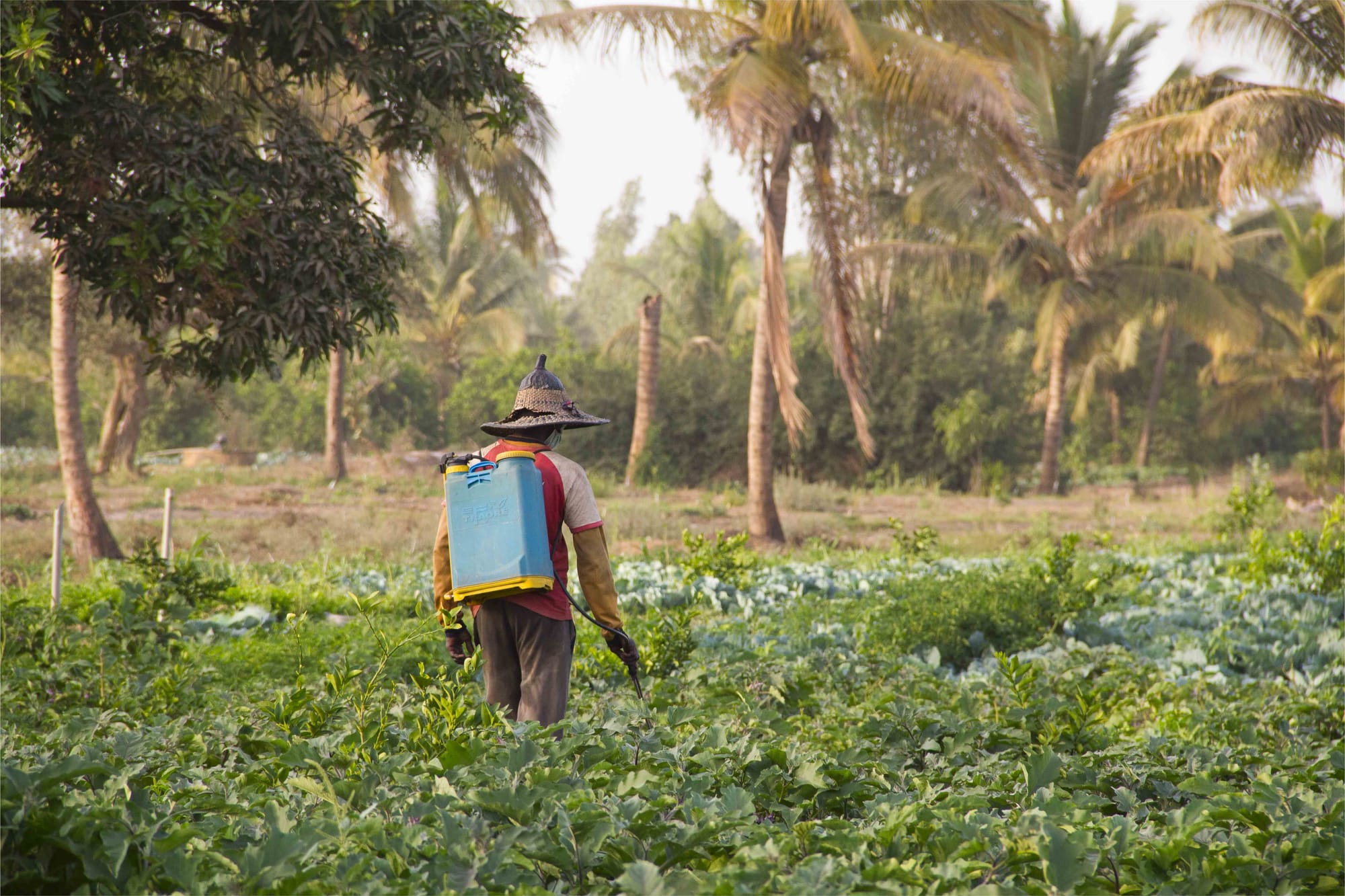 Unchecked use of agrochemicals