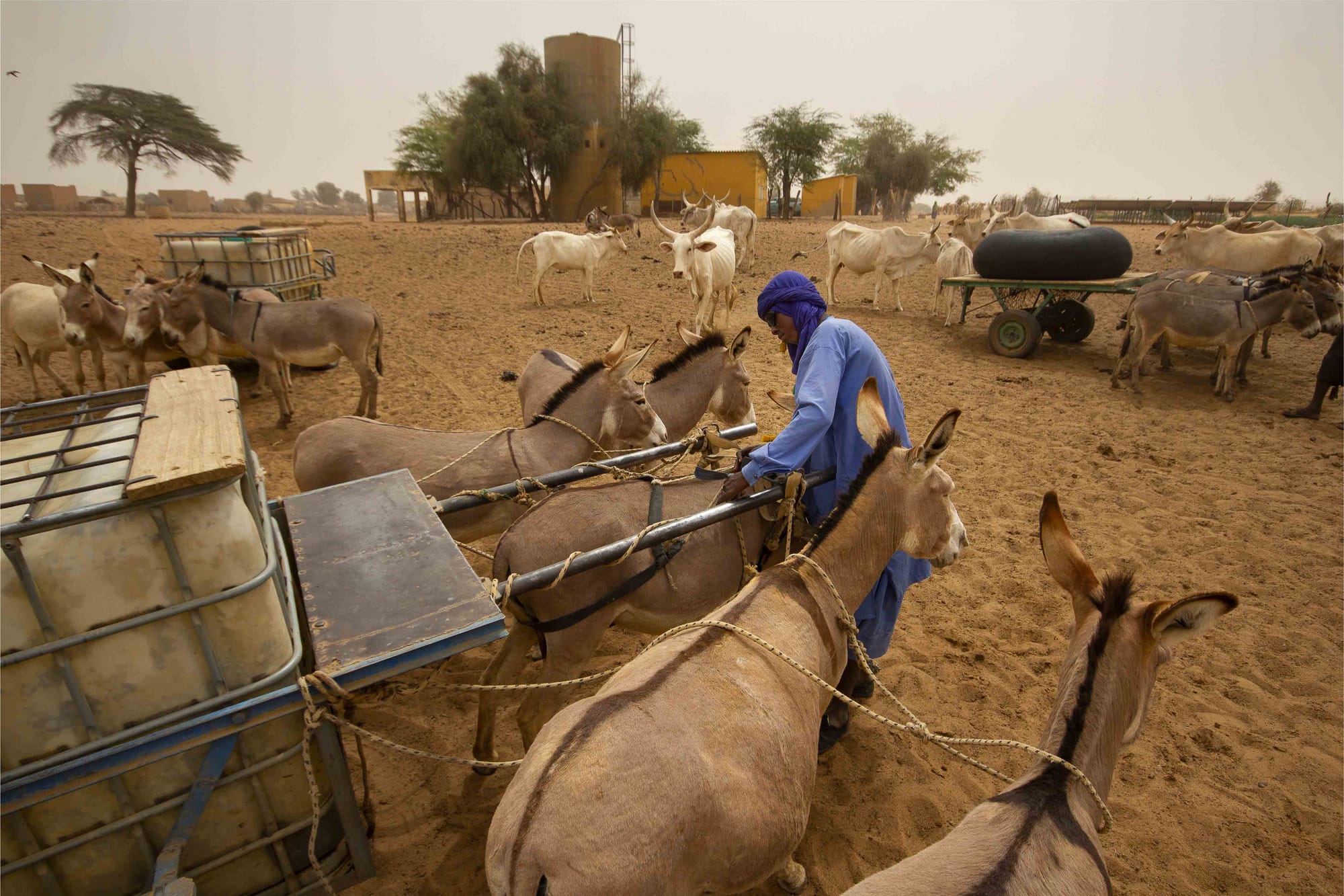 Valuing arid environments