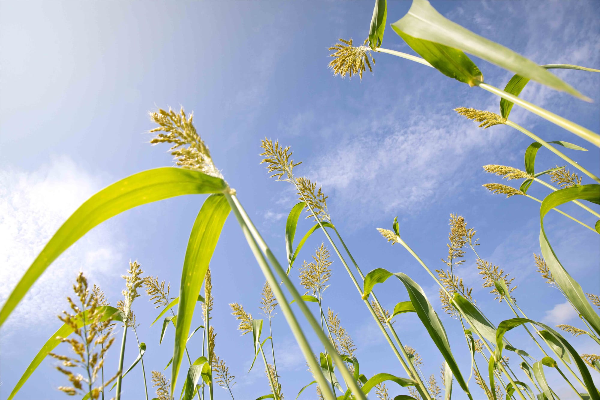 Farmers on the breaking point