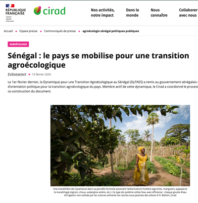 Sénégal : le pays se mobilise pour une transition agroécologique