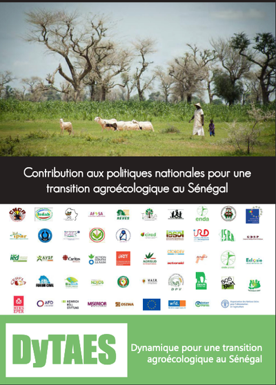 DyTAES political report