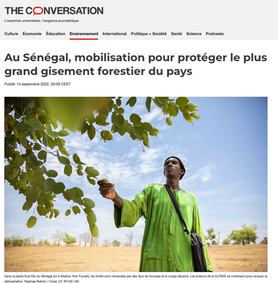 Au Sénégal, mobilisation pour protéger le plus grand gisement forestier du pays
