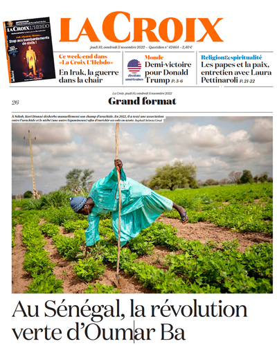 Au Sénégal, la révolution verte d’Oumar Ba