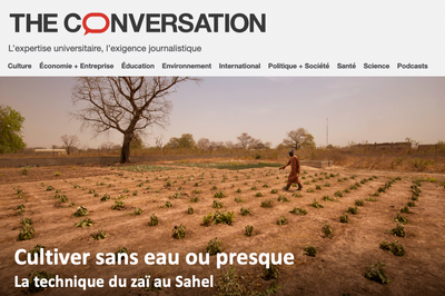 Cultiver sans eau ou presque : la technique du zaï au Sahel