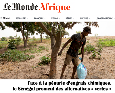 Face à la pénurie d’engrais chimiques, le Sénégal promeut des alternatives « vertes »