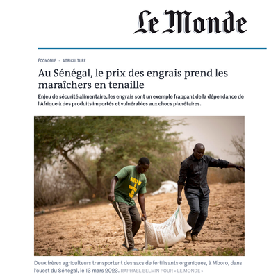 Au Sénégal, le prix des engrais prend les maraîchers en tenaille