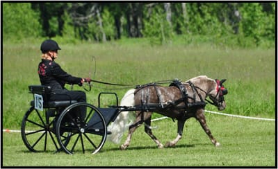 About the author image