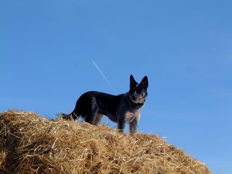 We are live on Amazon