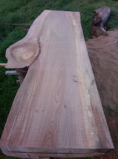 Trä och sågverk image