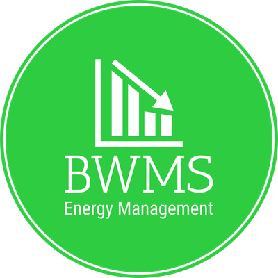 www.bwisemanagementservices.com