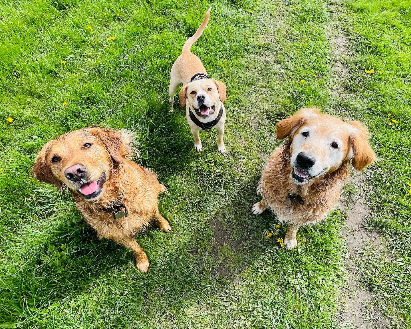Flynn, Bodie & Doug