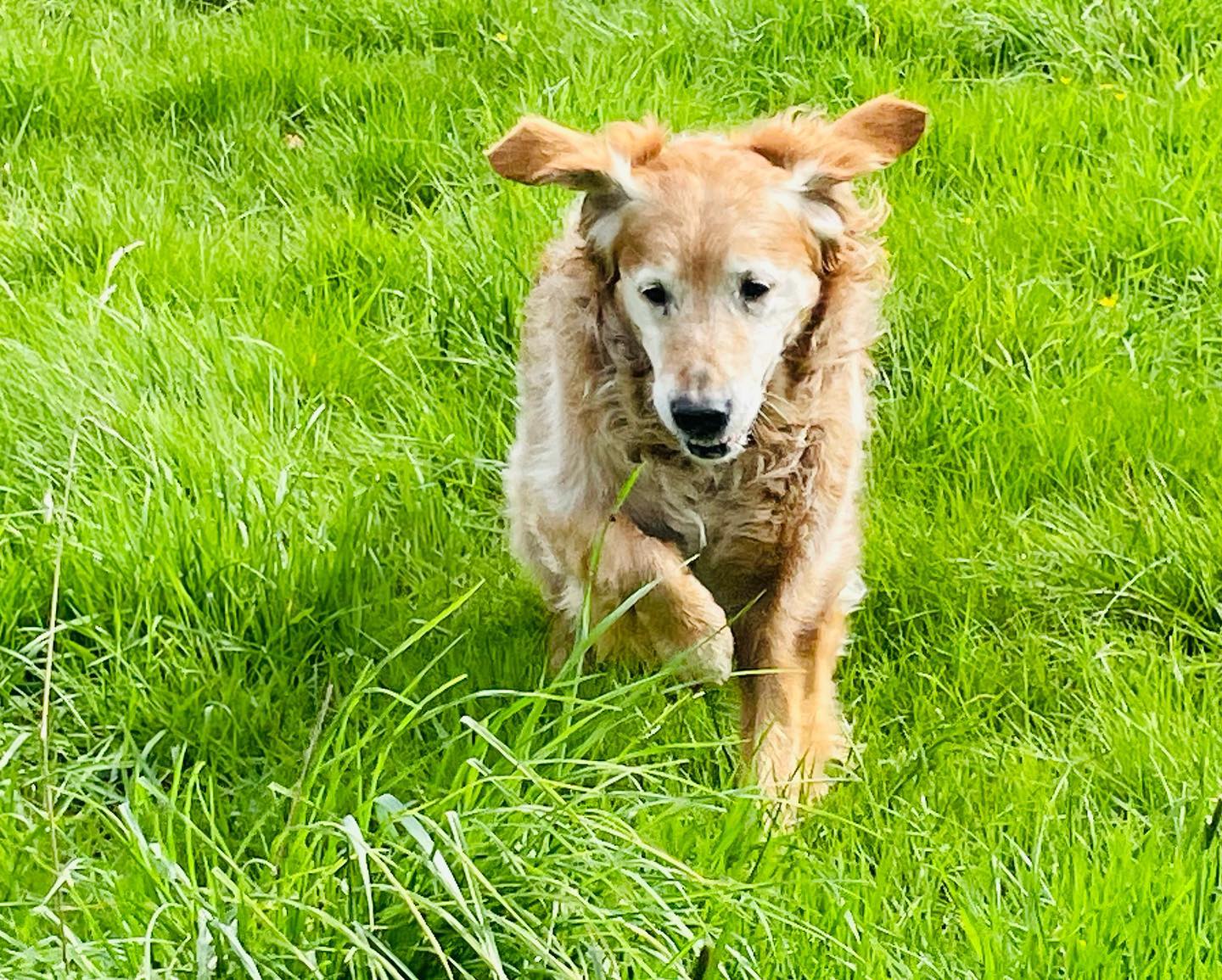 Flynn