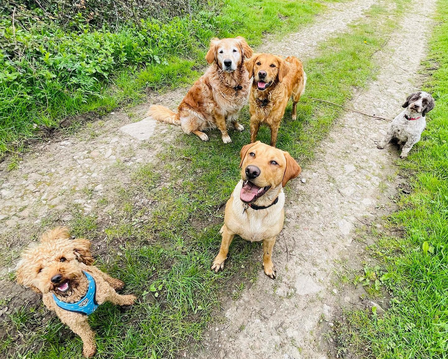 Flynn, Bodie, Reggie & Charlie