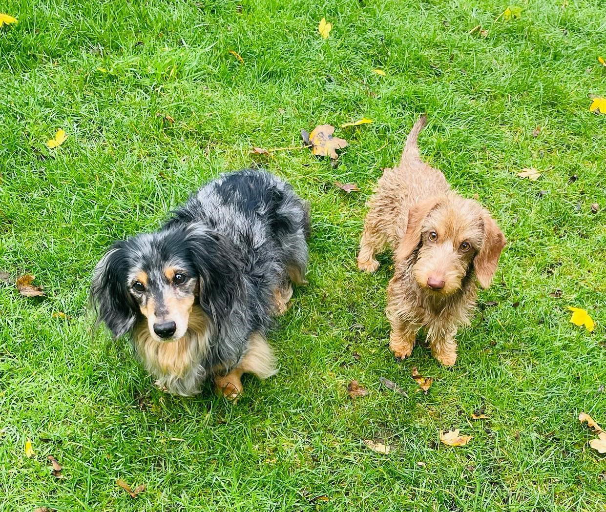 Rufus & Kiki