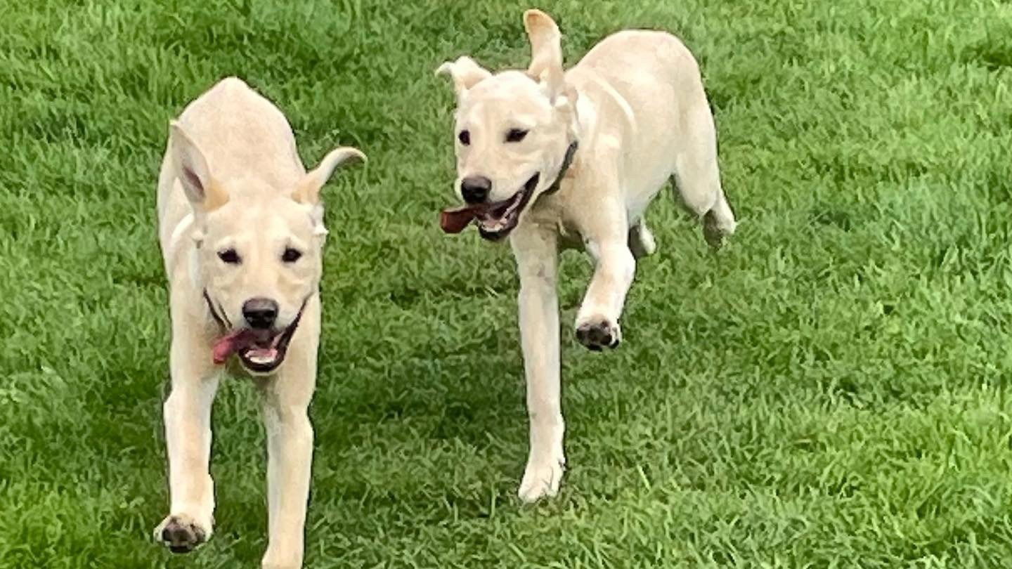 Bobby & Eddie