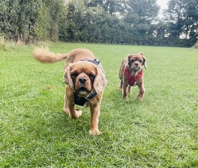 Sam & Elle