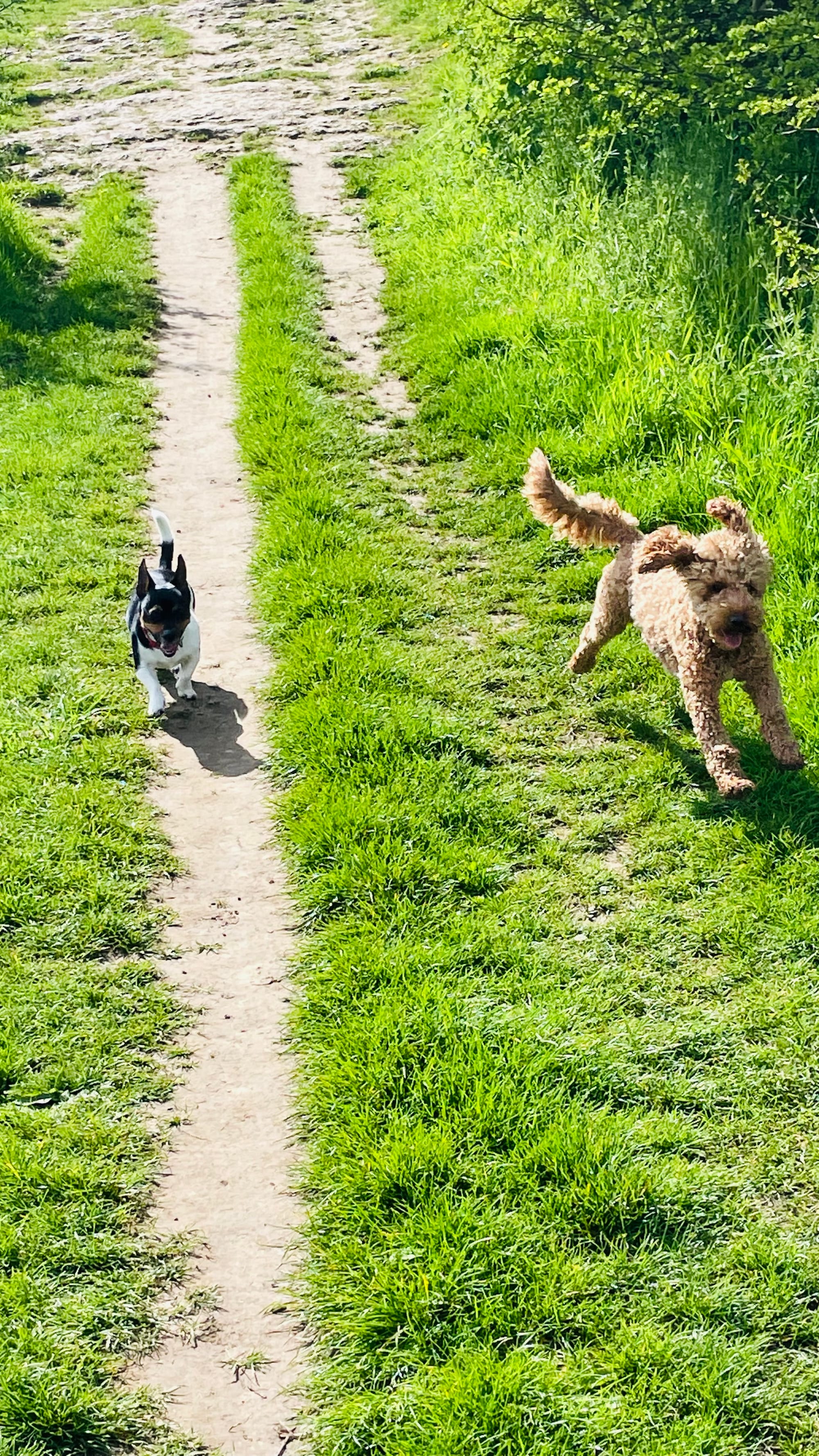Albert & Flynn