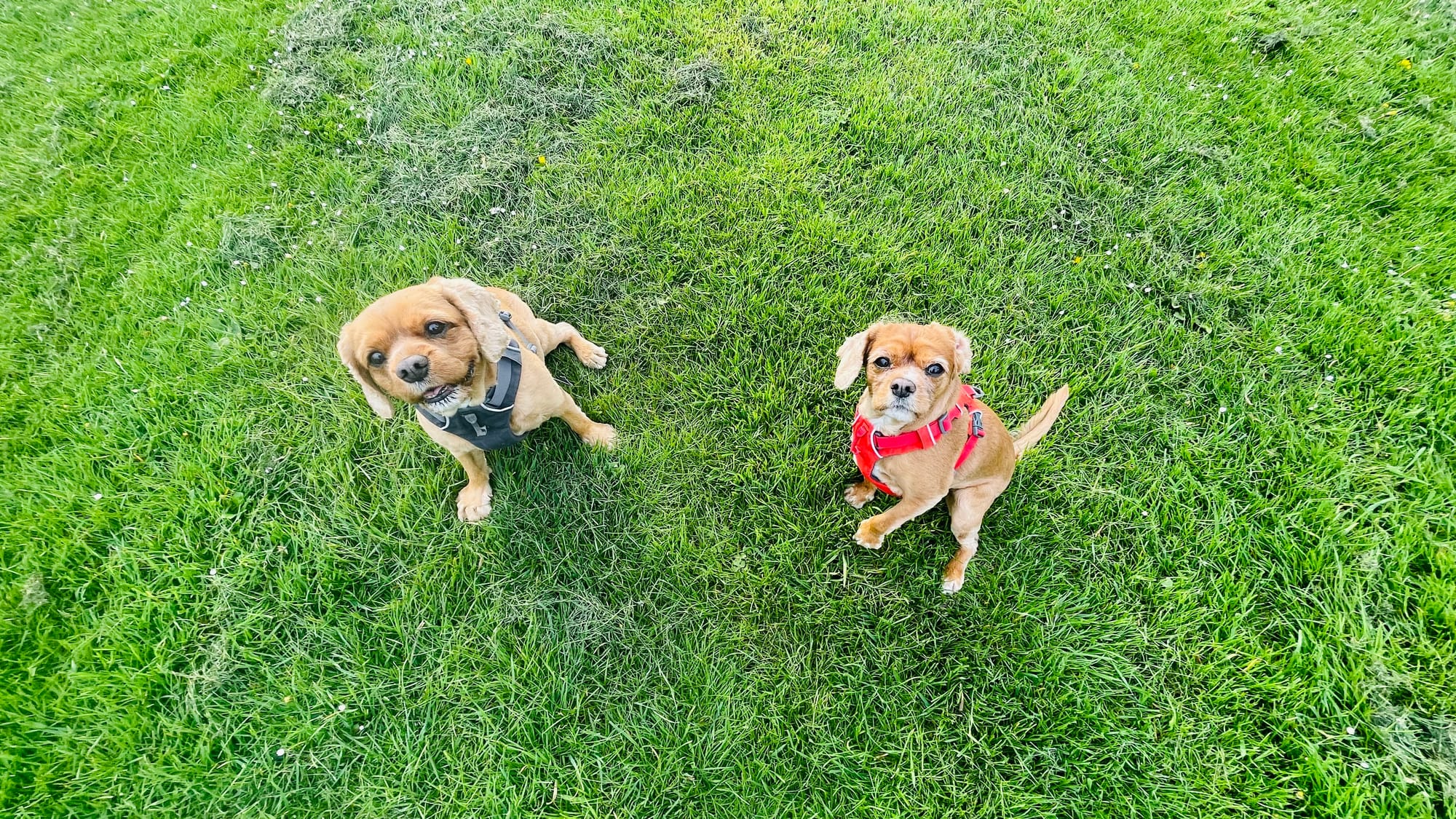 Sam & Elle