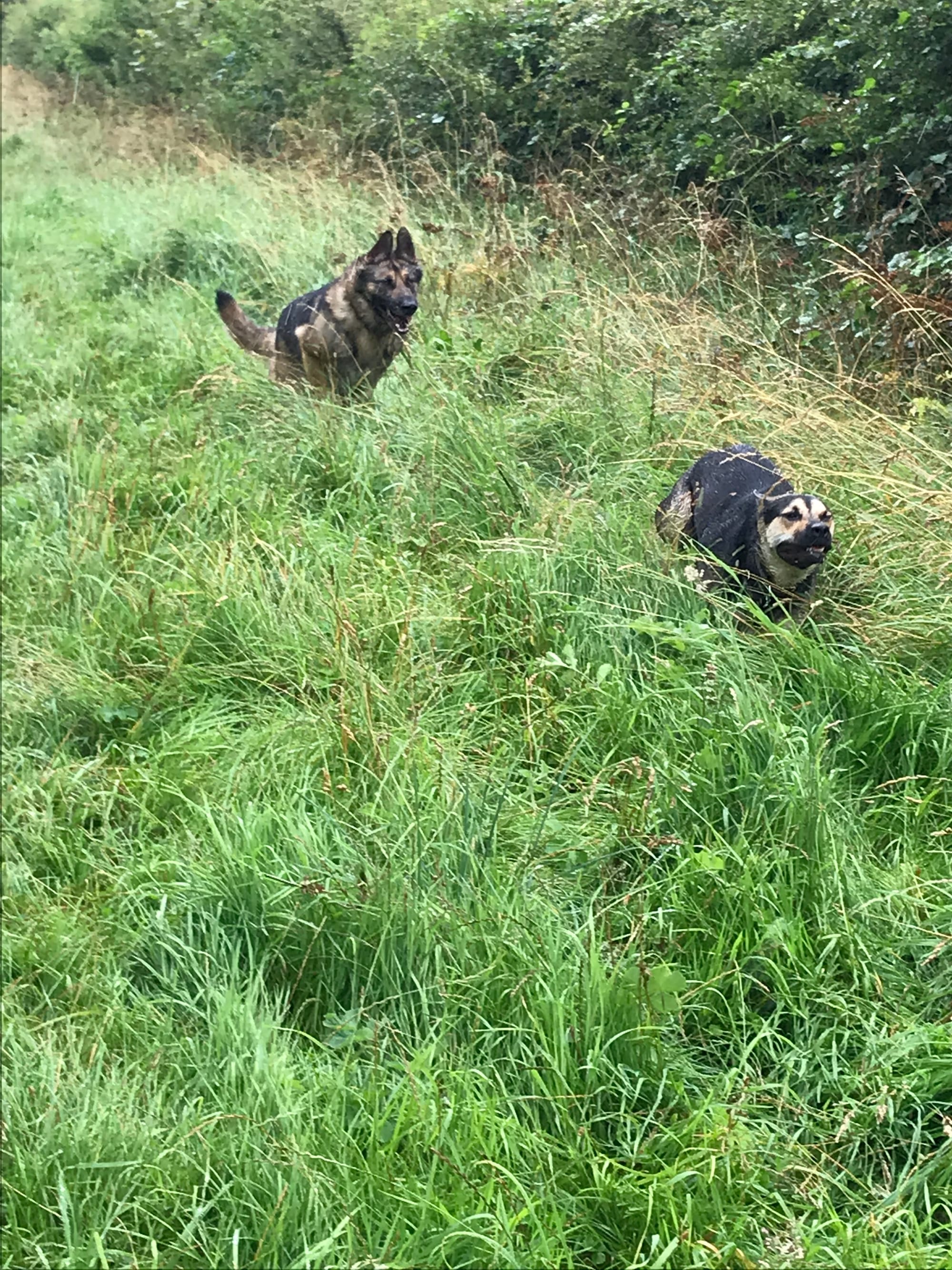 Buddy & Bess
