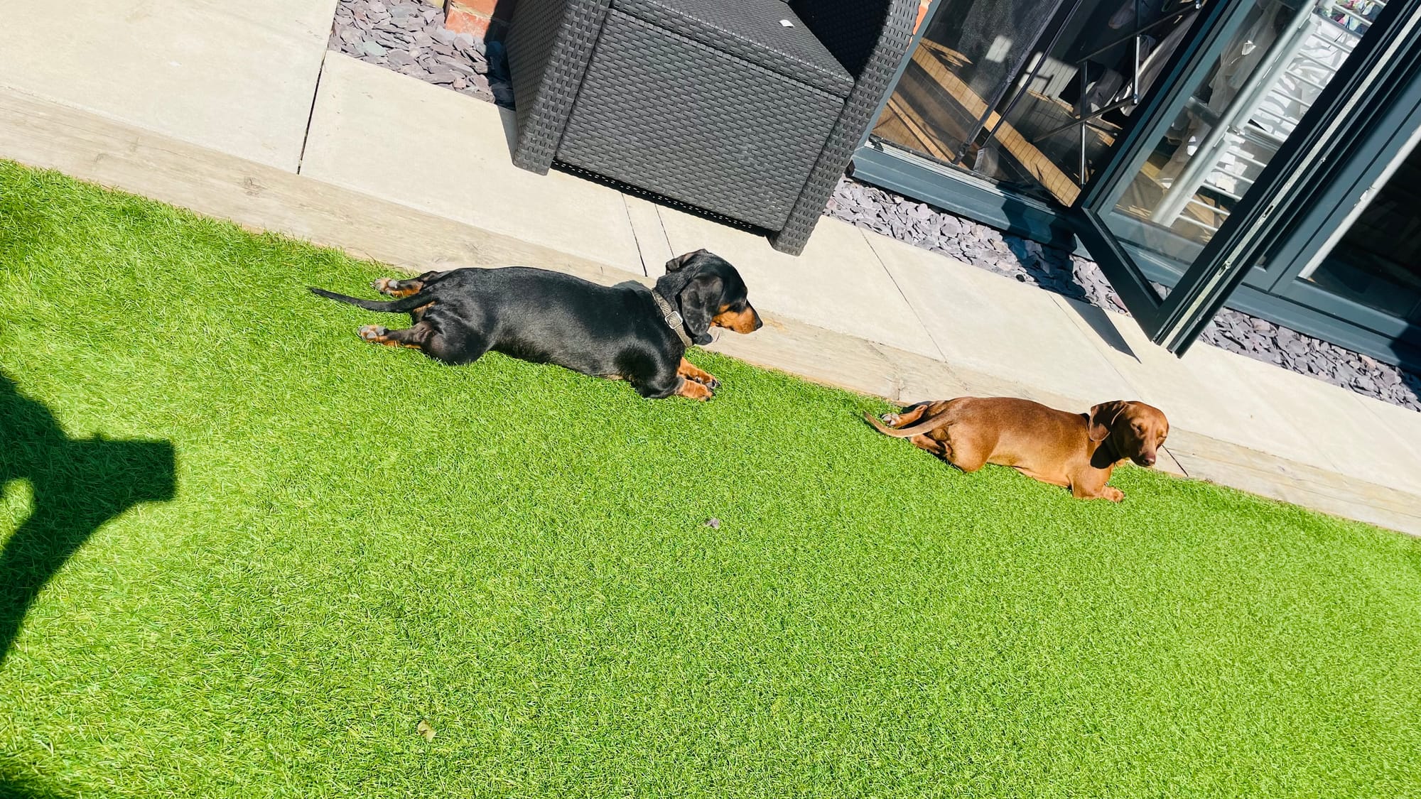 Nelly & Bambi