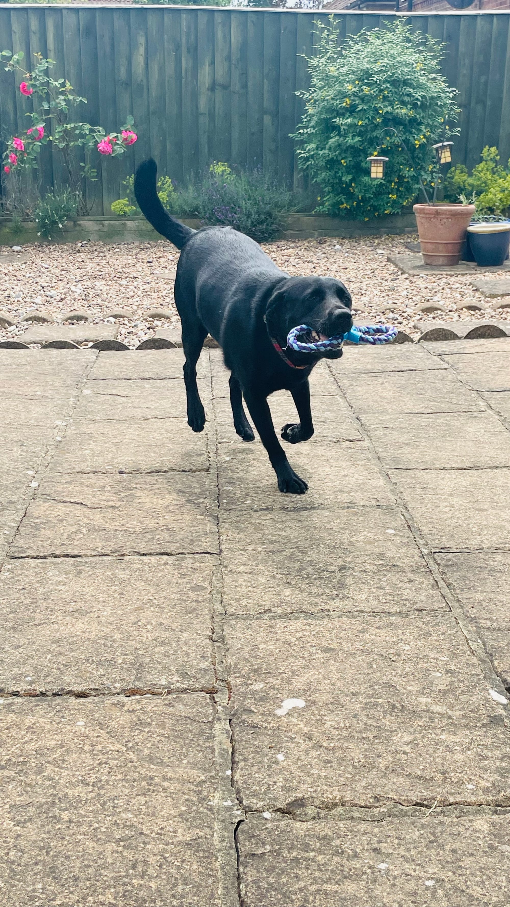 Winnie