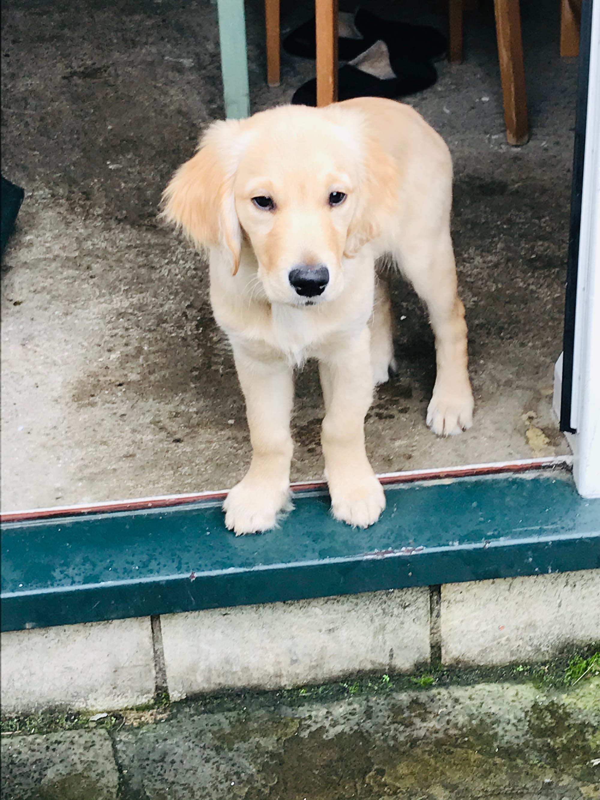Bob