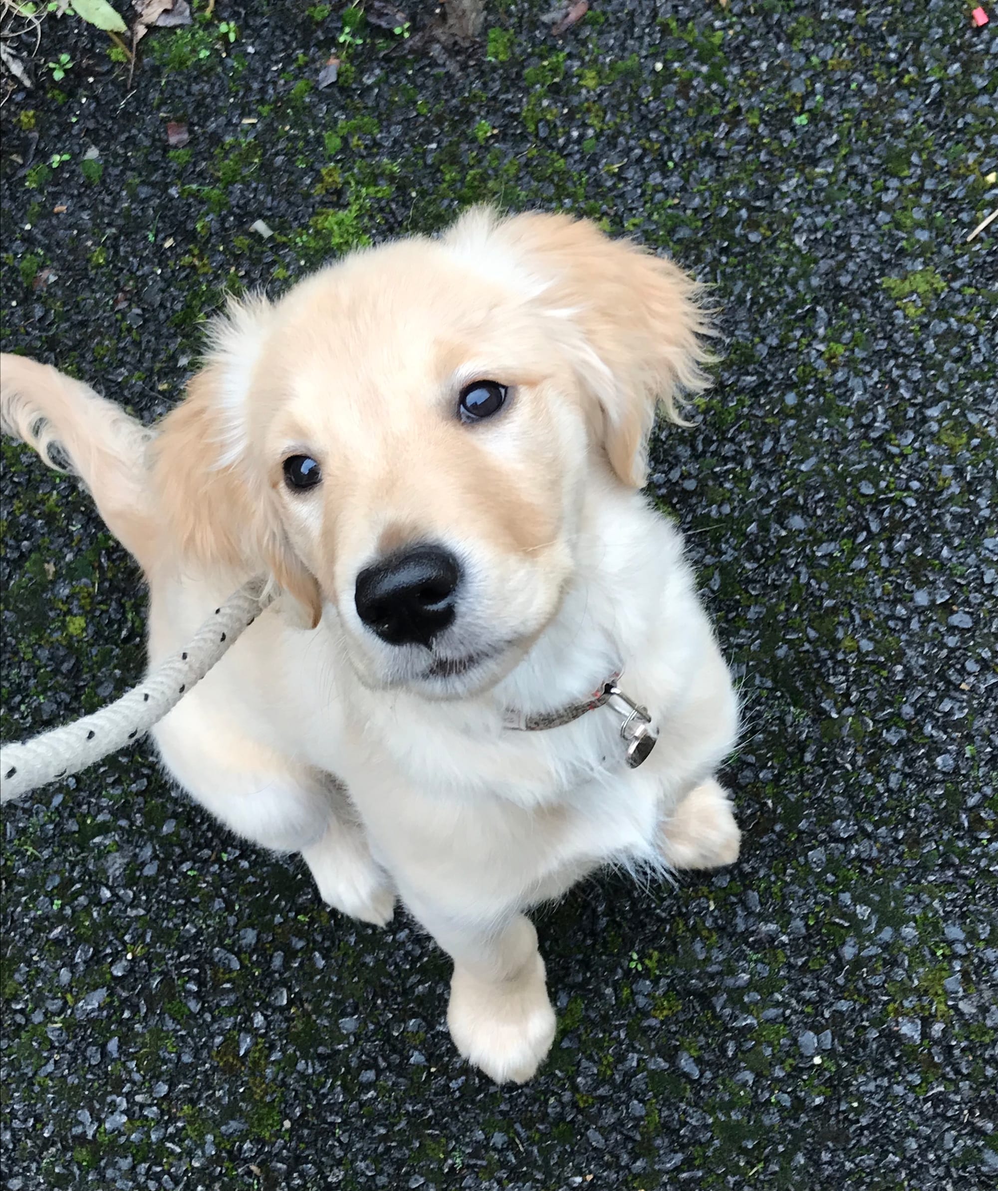 Bob