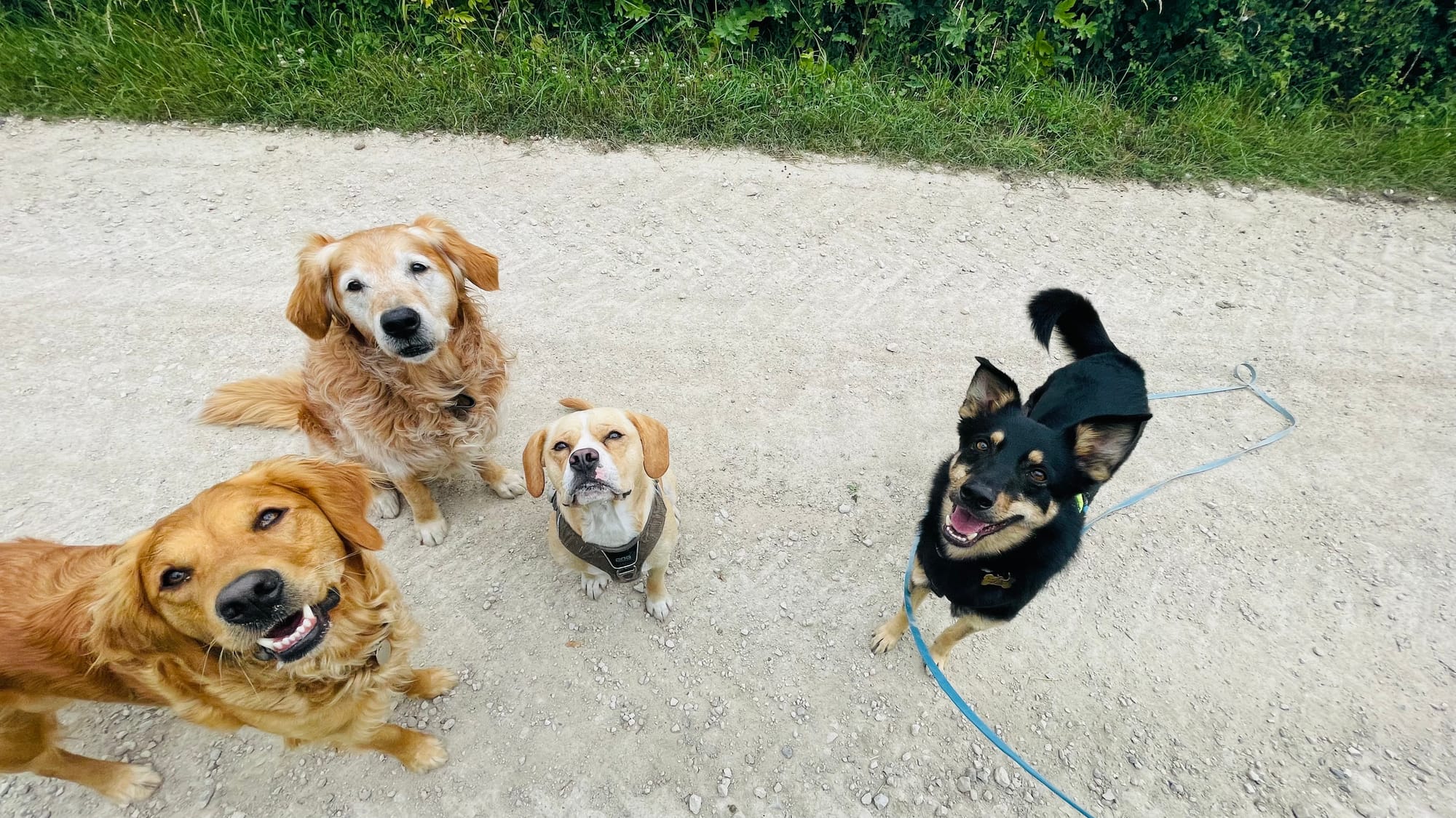 Flynn, Bodie, Doug & Joseph