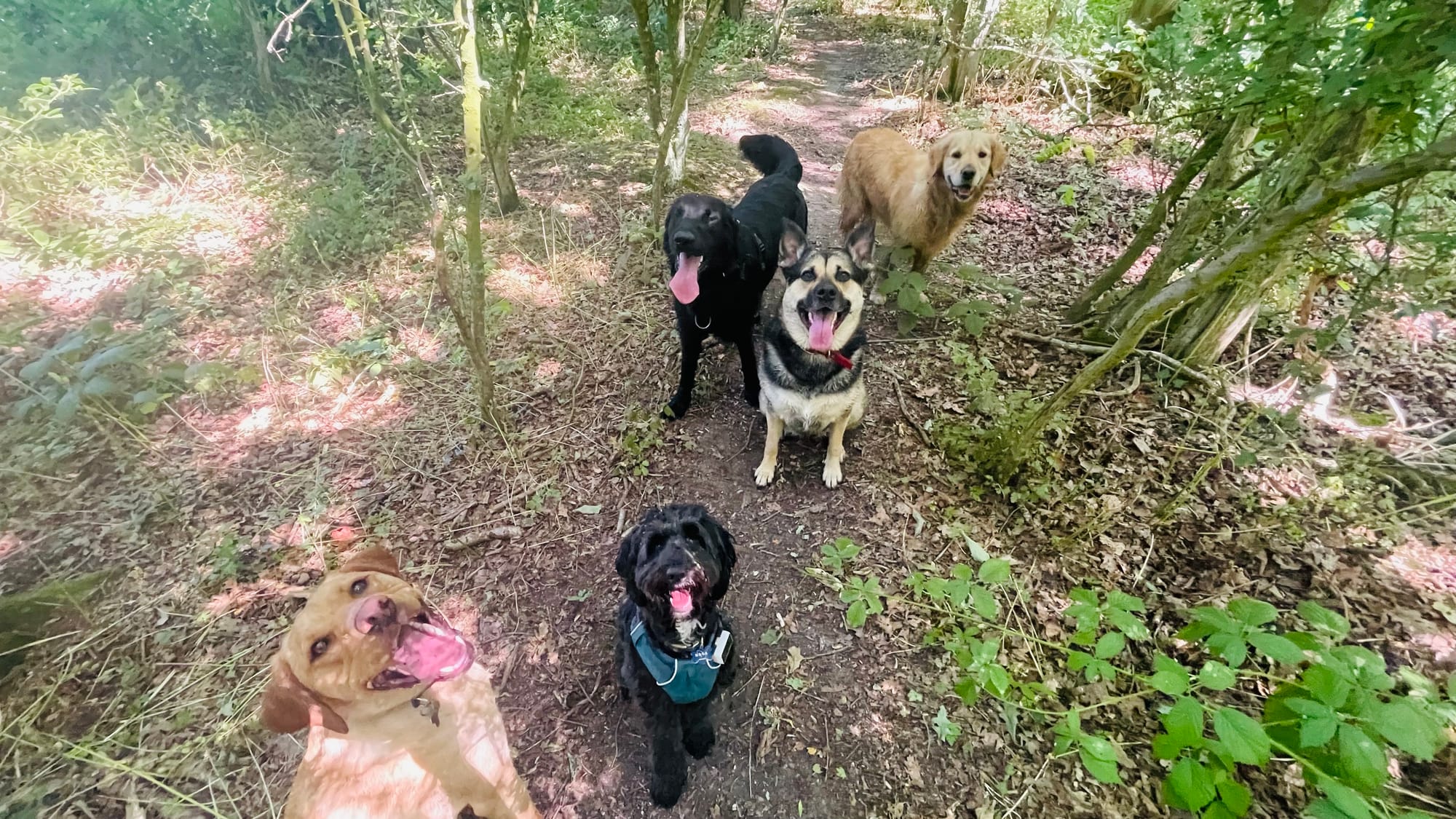 Bess, Bob, Bob, Mylo & Walter