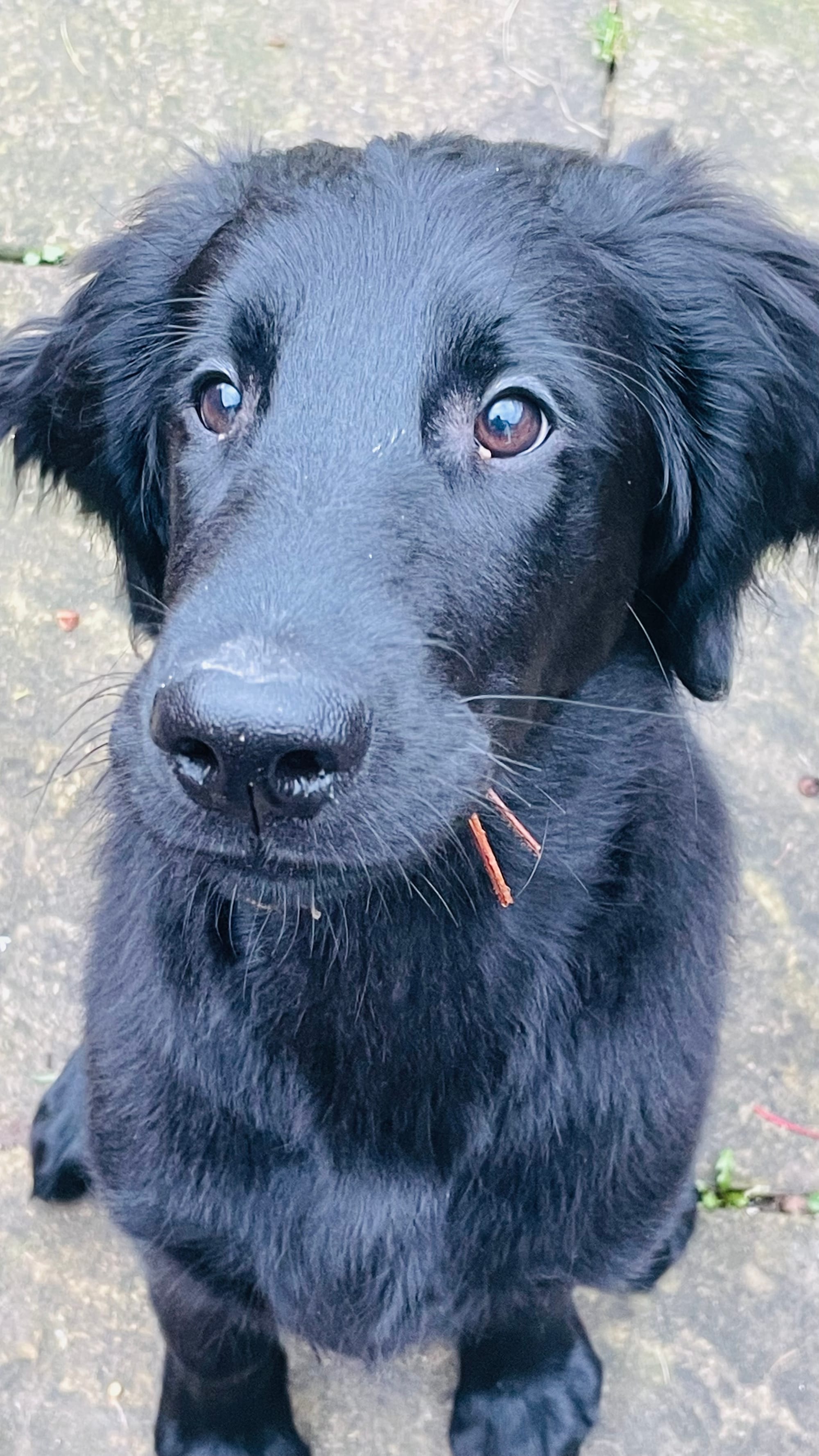 Walter