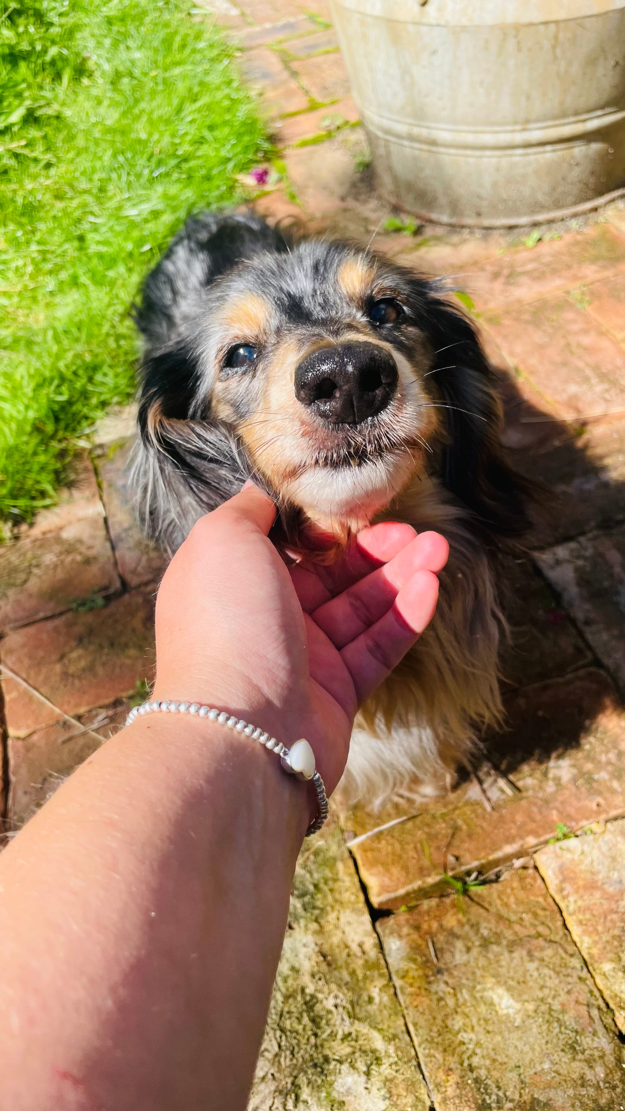 Rufus
