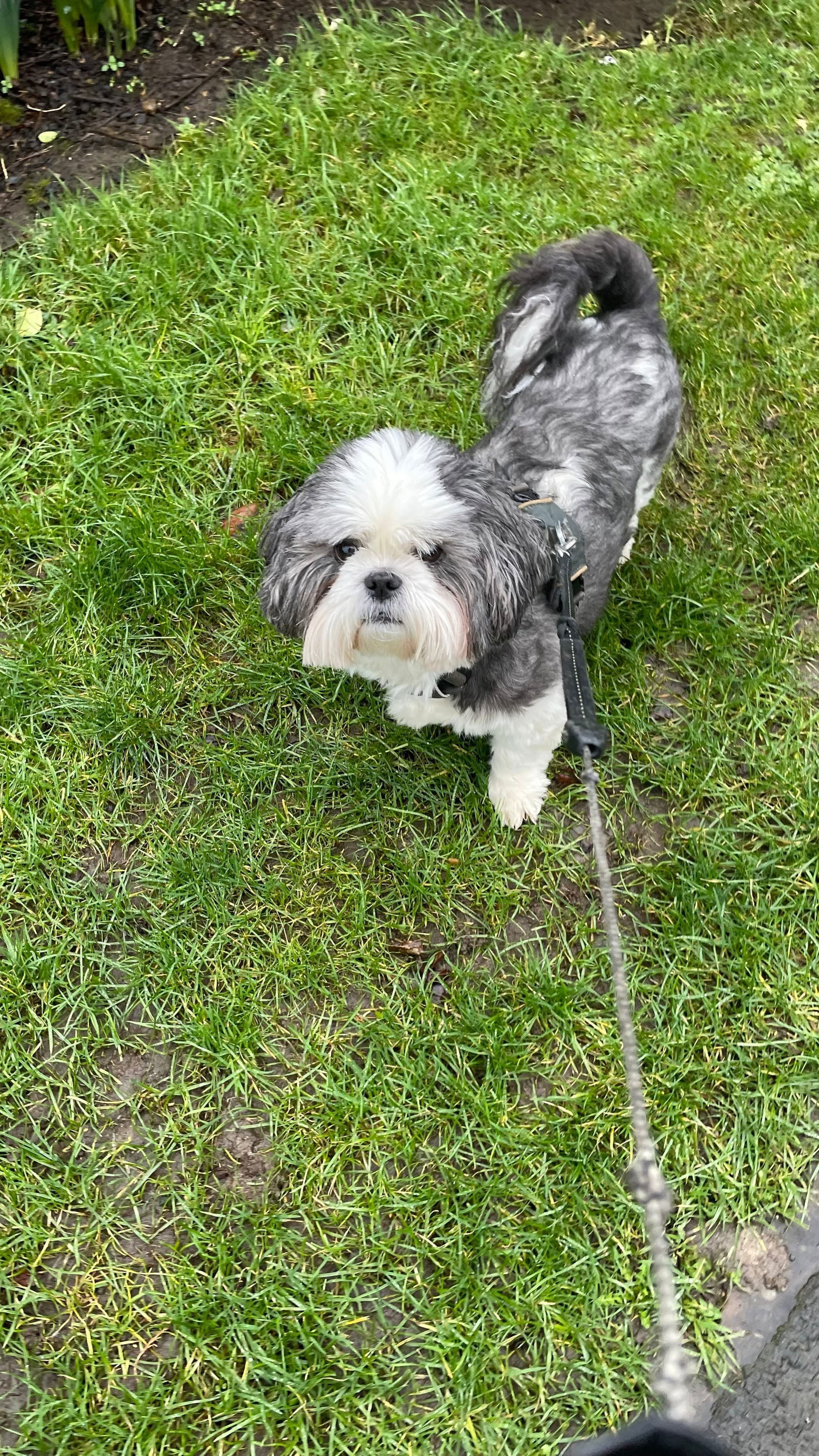 Milo