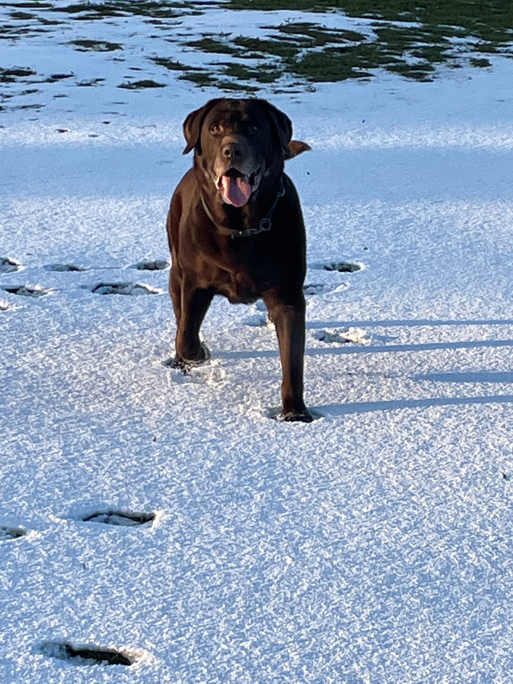 Dudley