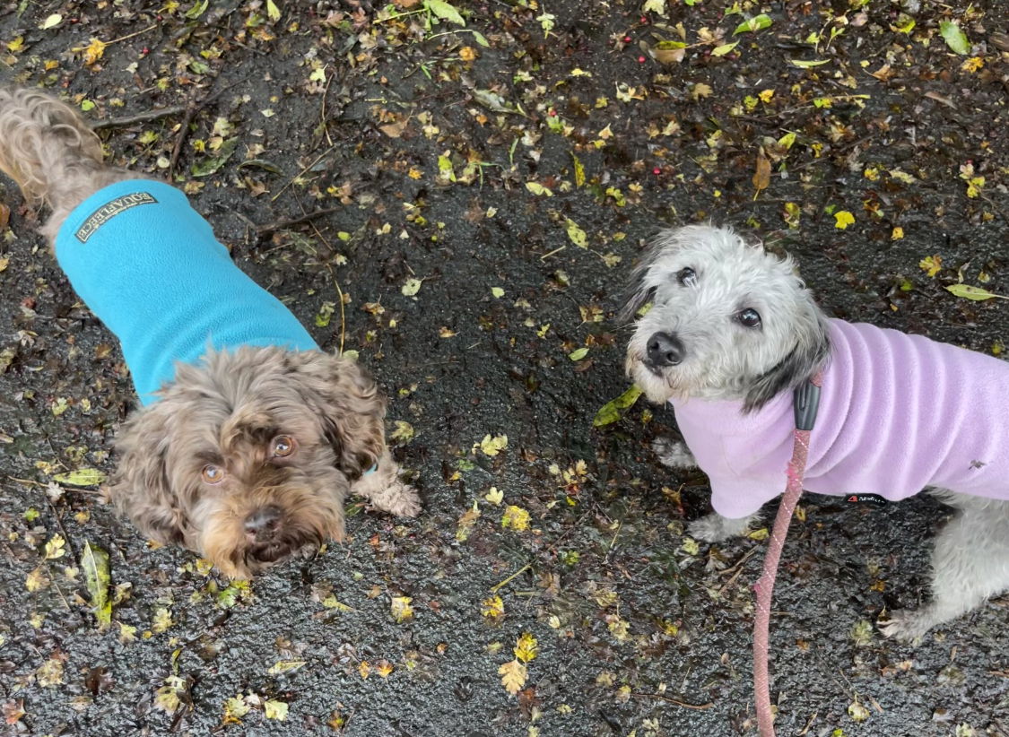 Monty & Mimi