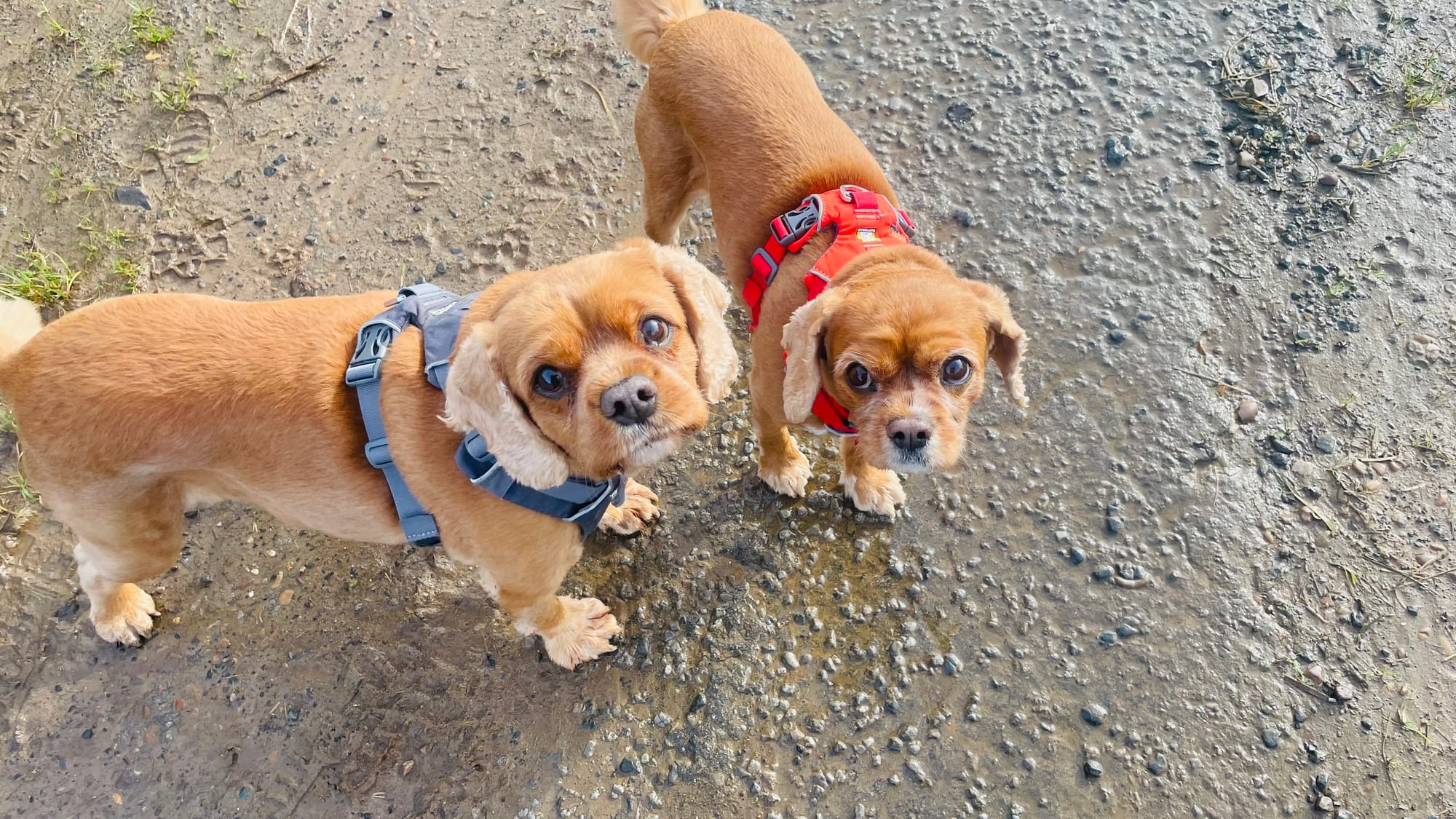 Sam & Elle