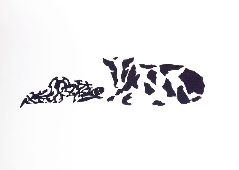 Rinokatto