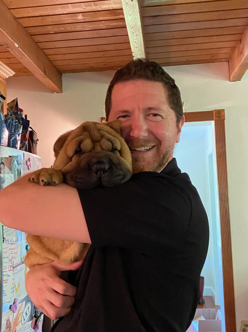 puppies from past litters